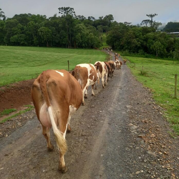 FB_IMG_1764005899865